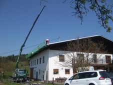 Der Krahn